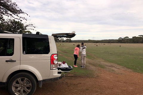 NEW TOUR - Flinders Chase Tour (Recovering From Fires) - Accommodation Daintree 6
