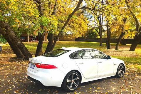 Luxury Jaguar Barossa Valley Half Day Private Tour For 2 - Accommodation Daintree 0