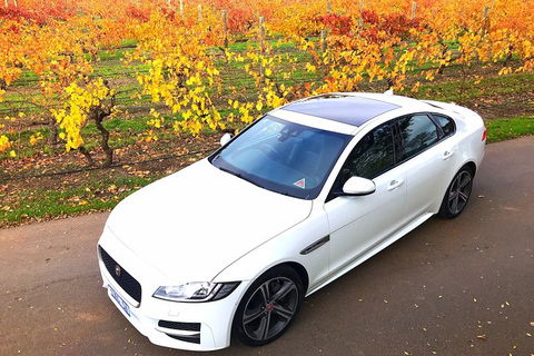 Luxury Jaguar Barossa Valley Half Day Private Tour For 2 - Accommodation Daintree 2