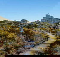 Hartz Mountains premium private photo-oriented day tour from Hobart - Accommodation Daintree
