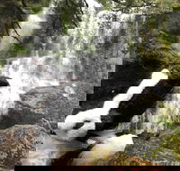 Waterfalls Guided Tour - Accommodation Daintree
