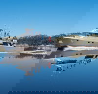 4-Day Cruise Expedition of Southwest Tasmania's World Heritage from Hobart - Accommodation Daintree