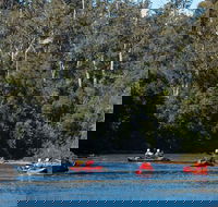 Twin Rivers Adventure - Accommodation Daintree