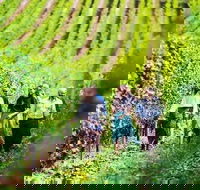 Hobart Highlights of Tasmanian Wine Full Day Tour - Accommodation Daintree