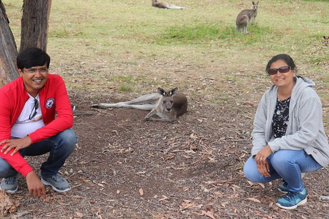 Great Ocean Road & 12 Apostles Sunset Private Tour - A Tour With A Local - Accommodation Daintree 7