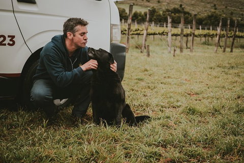 Daylesford Private, Corporate, Group Wine Tours: Wine, Cider, Gin, Vodka, Port! - Accommodation Daintree 3