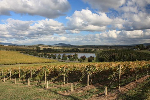 LGBT+ Friendly Full Day Yarra Valley & Dandenong Ranges Private Tour - Accommodation Daintree 0