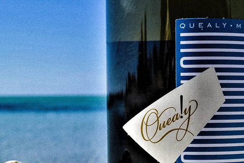 Mornington Peninsula 2-6 Guests Lunch And Inc Wine Tasting At Quealy Winemakers - Accommodation Daintree 0