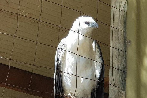 Phillip Island Penguin And Wildlife Tour - Accommodation Daintree 21