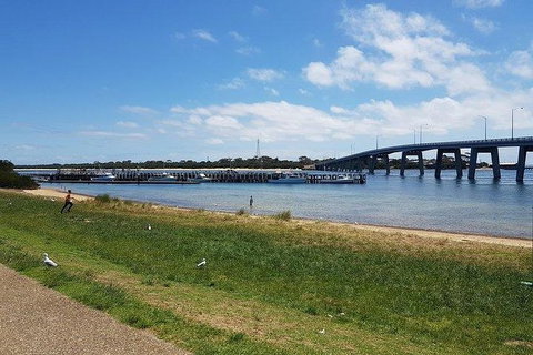 Phillip Island Penguin And Wildlife Tour - Accommodation Daintree 24