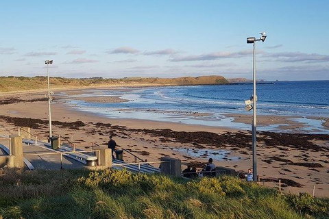 Phillip Island Penguin And Wildlife Tour - Accommodation Daintree 8