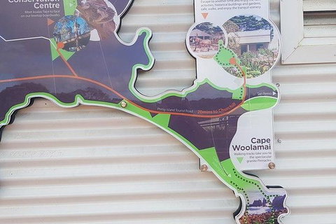 Phillip Island Penguin And Wildlife Tour - Accommodation Daintree 29