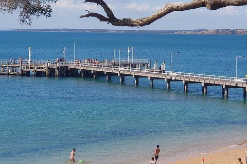 Phillip Island Penguin And Wildlife Tour - Accommodation Daintree 2