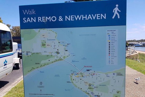 Phillip Island Penguin And Wildlife Tour - Accommodation Daintree 35