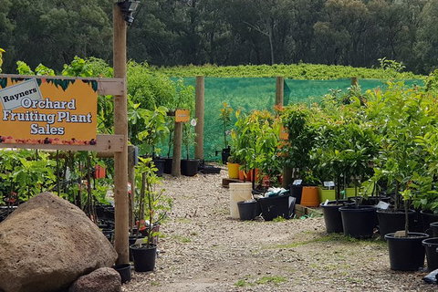 Yarra Valley Wineries And Rayners Orchard Tour From Melbourne - Accommodation Daintree 0