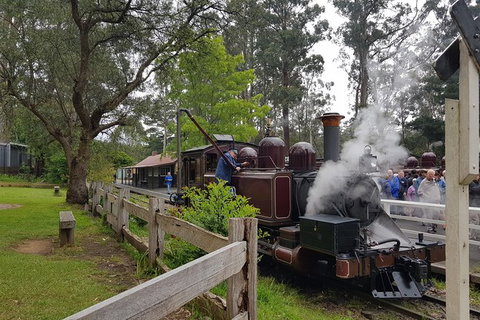 Day Tour Of Yarra Valley Puffing Billy And Rayners Orchard - Accommodation Daintree 14