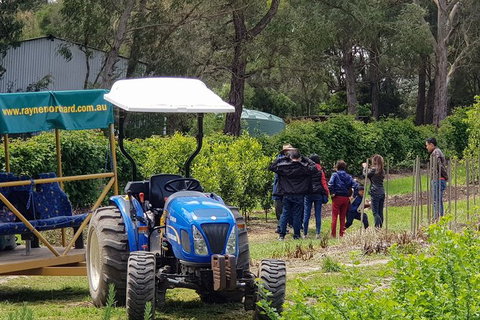 Day Tour Of Yarra Valley Puffing Billy And Rayners Orchard - Accommodation Daintree 10