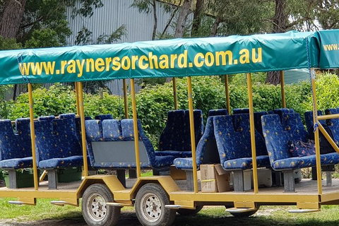 Day Tour Of Yarra Valley Puffing Billy And Rayners Orchard - Accommodation Daintree 33