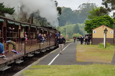 Day Tour Of Yarra Valley Puffing Billy And Rayners Orchard - Accommodation Daintree 0