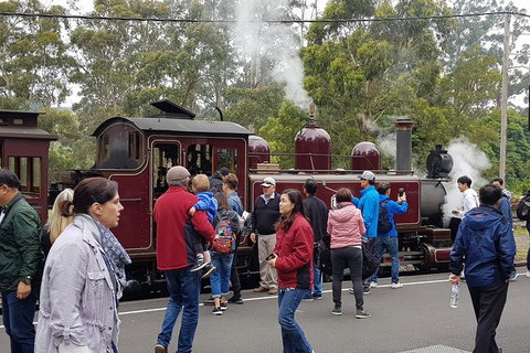 Day Tour Of Yarra Valley Puffing Billy And Rayners Orchard - Accommodation Daintree 4
