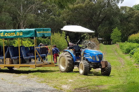 Day Tour Of Yarra Valley Puffing Billy And Rayners Orchard - Accommodation Daintree 25