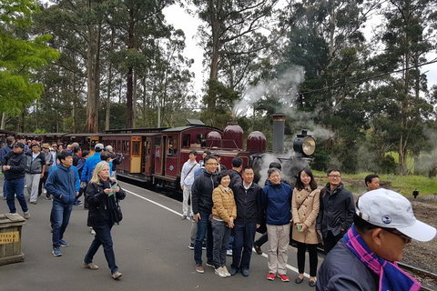 Day Tour Of Yarra Valley Puffing Billy And Rayners Orchard - Accommodation Daintree 9