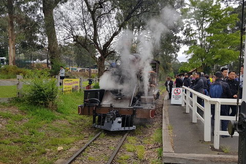 Day Tour Of Yarra Valley Puffing Billy And Rayners Orchard - Accommodation Daintree 43
