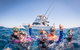 Life On Ningaloo Swimming Tour In Exmouth - thumb 4