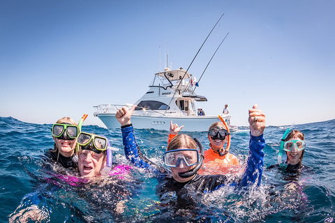 Life On Ningaloo Swimming Tour In Exmouth - Accommodation Daintree 4
