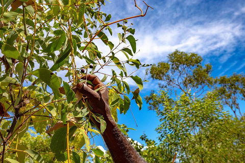 Mitchell Falls And Kimberley Coastal Camp (3night) - Accommodation Daintree 2