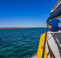 Ningaloo Immersion Private Charter - Accommodation Daintree