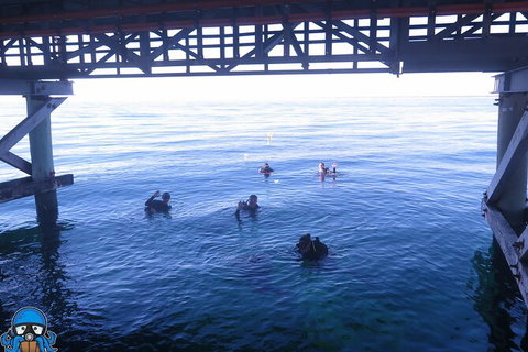 PADI Open Water Course - Accommodation Daintree 3