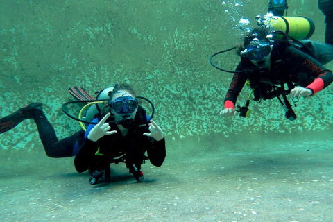PADI Open Water Course - Accommodation Daintree 4