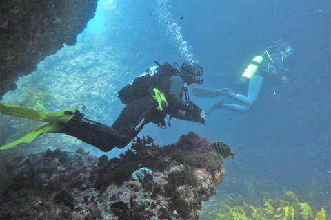 PADI Open Water Course - Accommodation Daintree 2