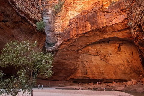 Bungles Day Trek Extended (with Echidna Chasm) - Accommodation Daintree 0