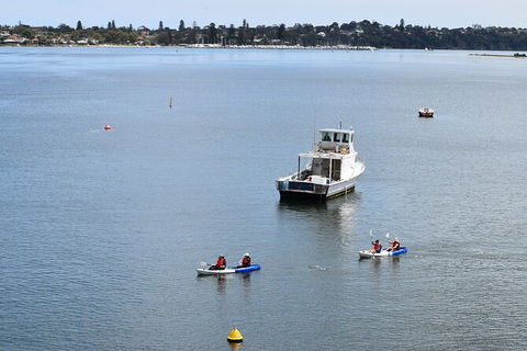 Cliffs And Caves Kayak Tour In Swan River - Accommodation Daintree 5
