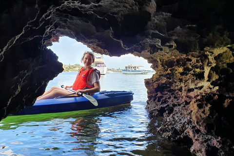 Cliffs And Caves Kayak Tour In Swan River - Accommodation Daintree 3