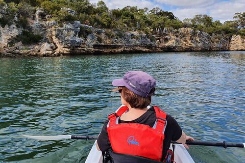 Cliffs And Caves Kayak Tour In Swan River - Accommodation Daintree 1