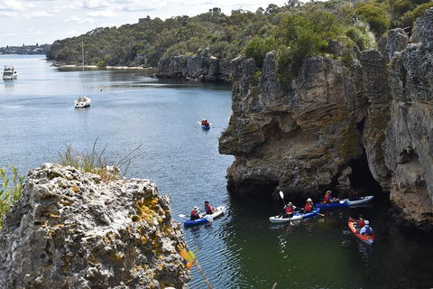 Cliffs And Caves Kayak Tour In Swan River - Accommodation Daintree 2