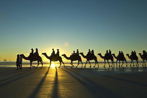 Broome All-Inclusive 7 Days Touring Package - Accommodation Daintree 6