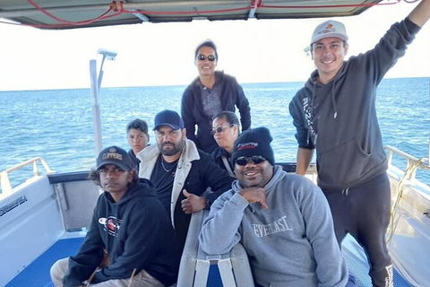 Abrolhos Islands Fishing Charter - Accommodation Daintree 3