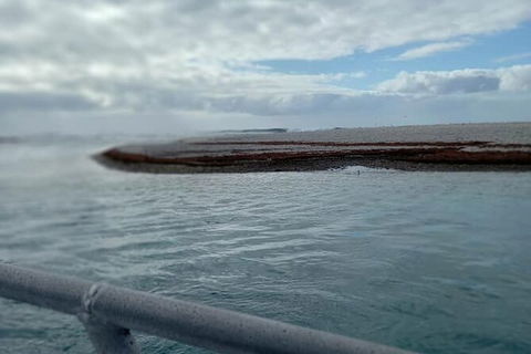 Abrolhos Islands Fishing Charter - Accommodation Daintree 6