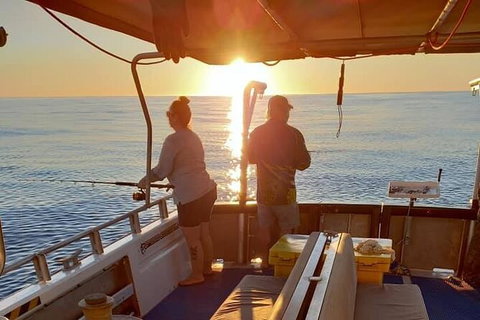 Abrolhos Islands Fishing Charter - Accommodation Daintree 8