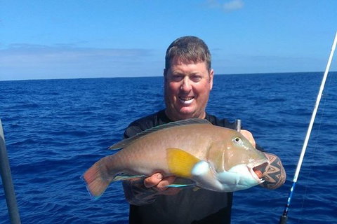 Abrolhos Islands Fishing Charter - Accommodation Daintree 1