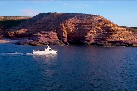 Kalbarri Sunset Coastal Cliff Cruise - Accommodation Daintree 4