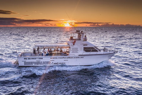Kalbarri Sunset Coastal Cliff Cruise - Accommodation Daintree 1
