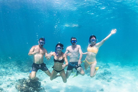 Full-Day Whale Sharks Swimming Experience On Ningaloo Reef - Accommodation Daintree 5