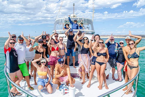 Full-Day Whale Sharks Swimming Experience On Ningaloo Reef - Accommodation Daintree 1