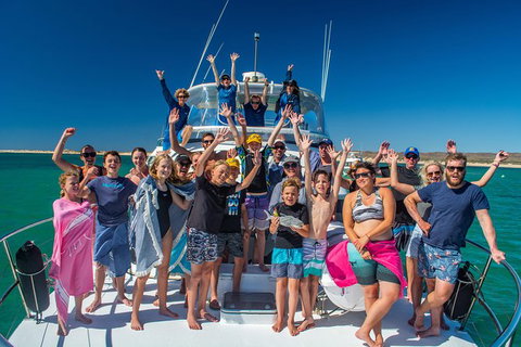 Full-Day Whale Sharks Swimming Experience On Ningaloo Reef - Accommodation Daintree 15