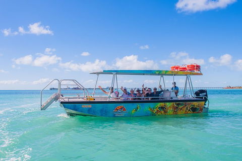 The Island Sandbar Experience - Accommodation Daintree 5